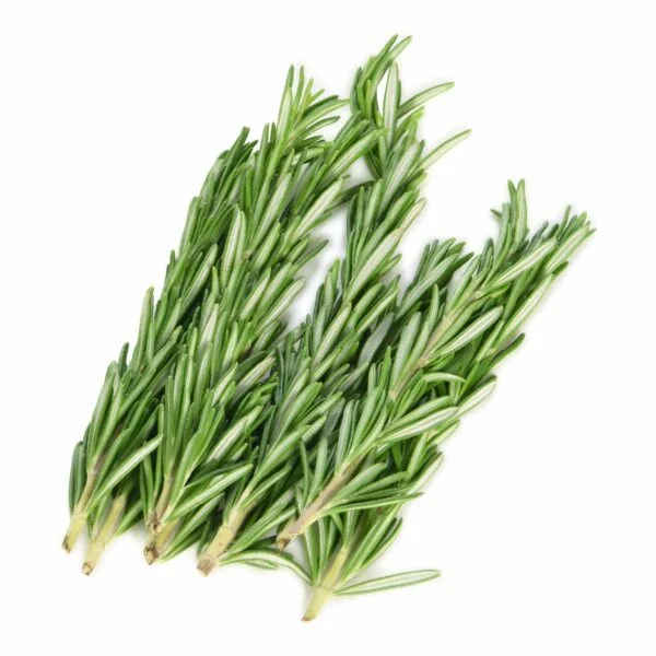 Herb Rosemary Kenya / Tanzania / Palestine 50 g