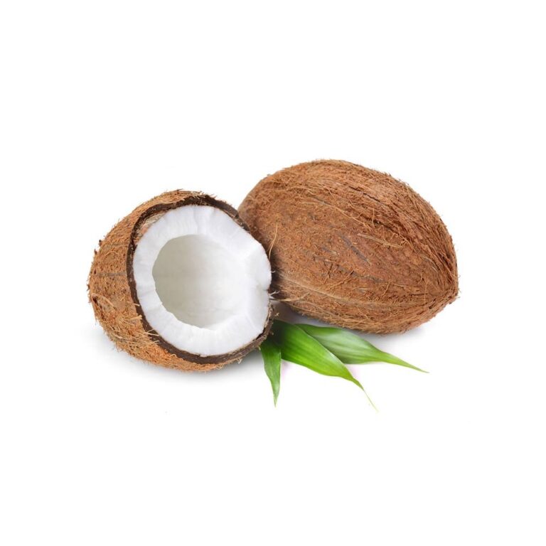 3281CoconutDryIndia