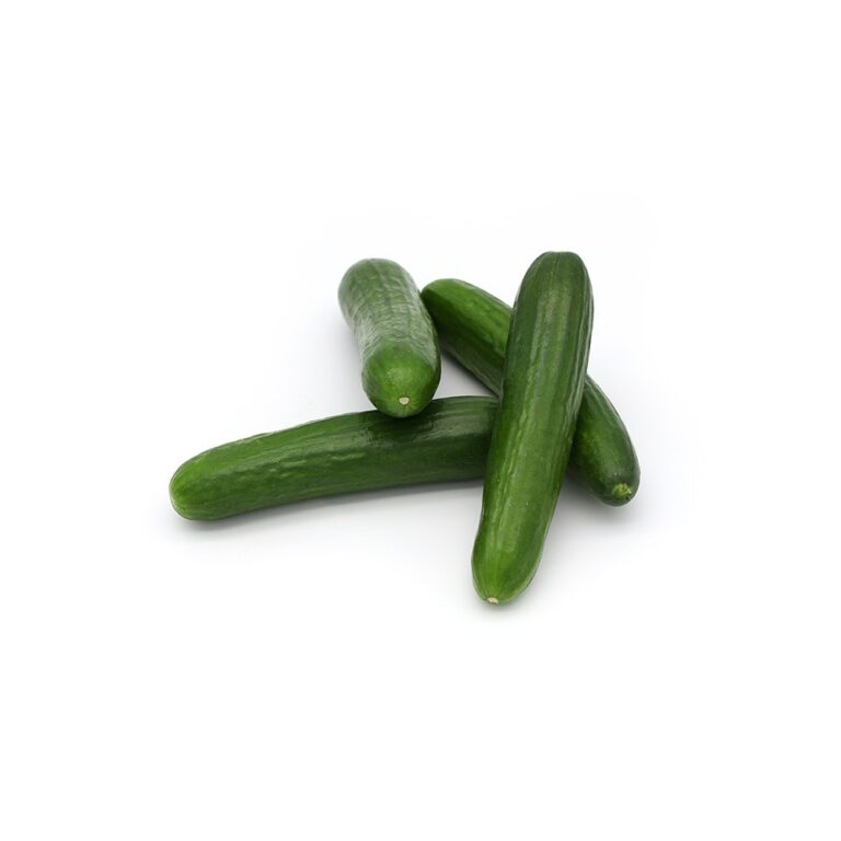 3309Cucumber