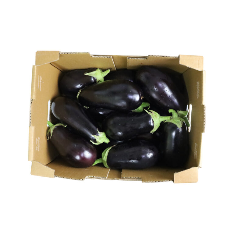 3395EggplantLocalBox