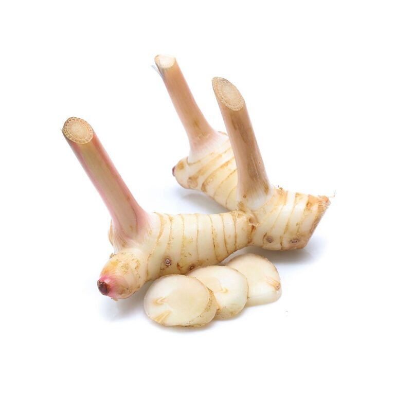 3456Galangal