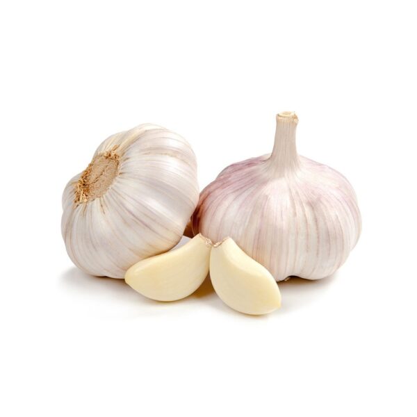 Garlic China