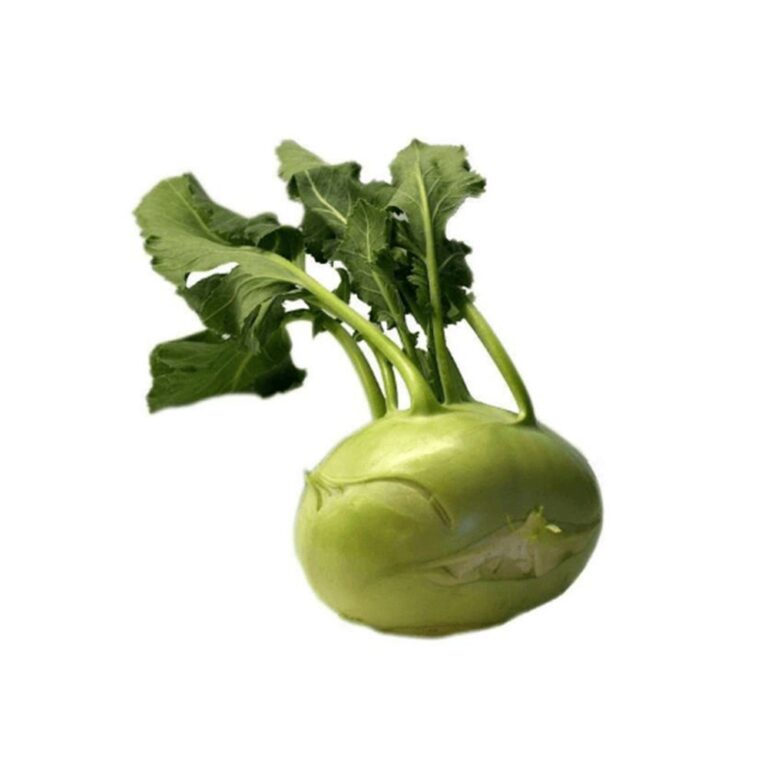 3582Kohlrabi