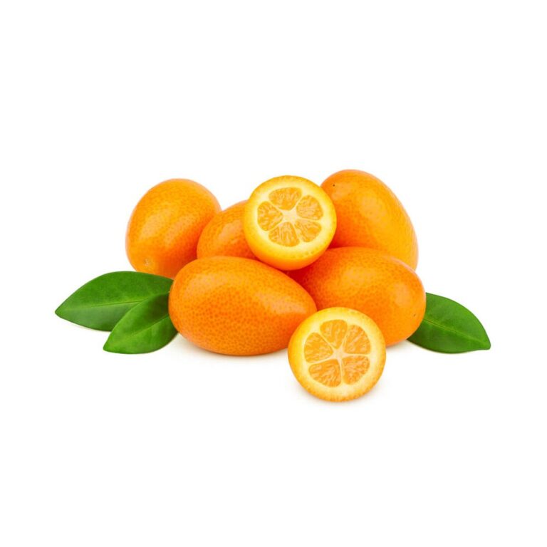 3583Kumquat