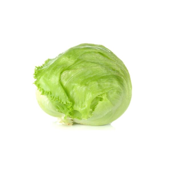 Lettuce Iceberg