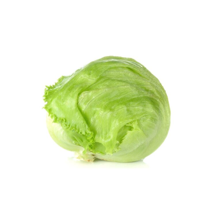 3612LettuceIceberg