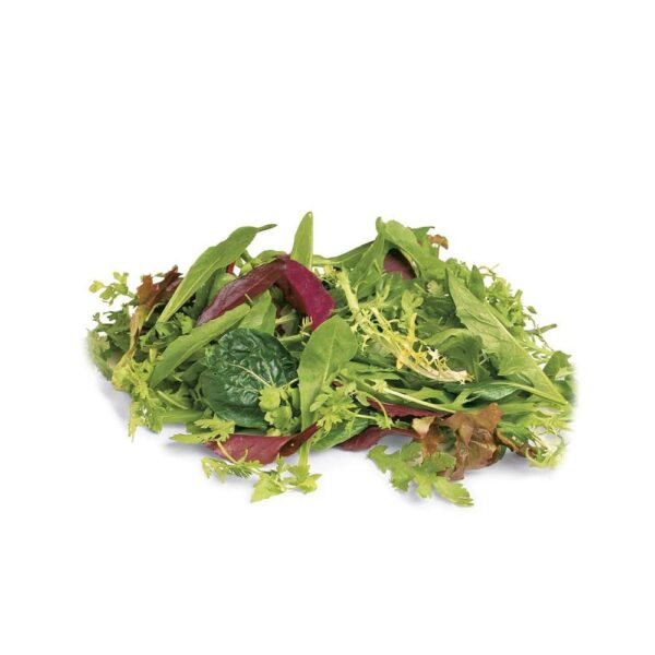 Lettuce Mesclun Mix Italy