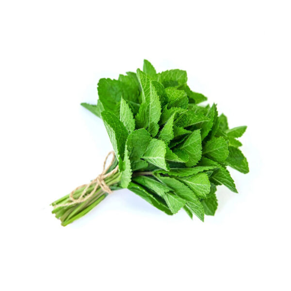 Mint Leaves loose