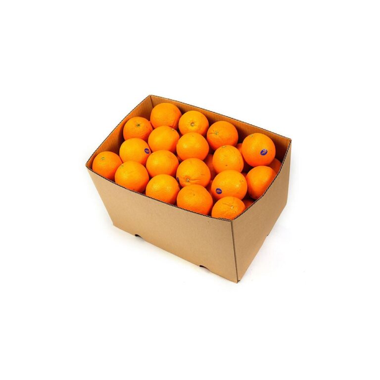 3834OrangeNavelBox