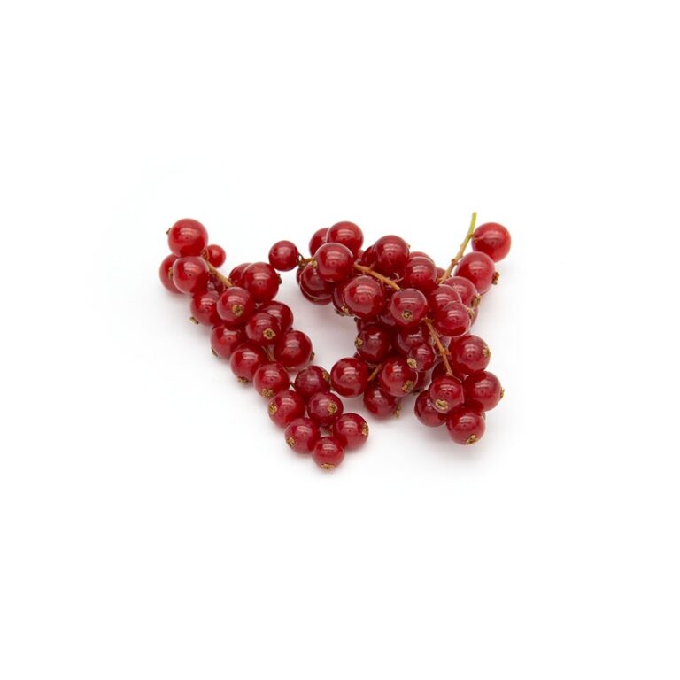 4072RedCurrants