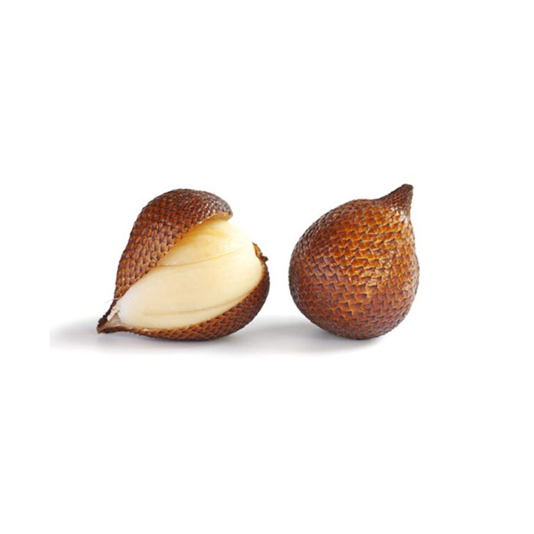 4102SalakFruitSnakeFruit