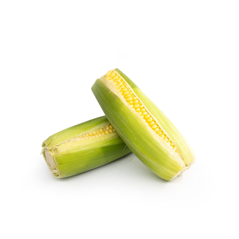 4204SweetCorn