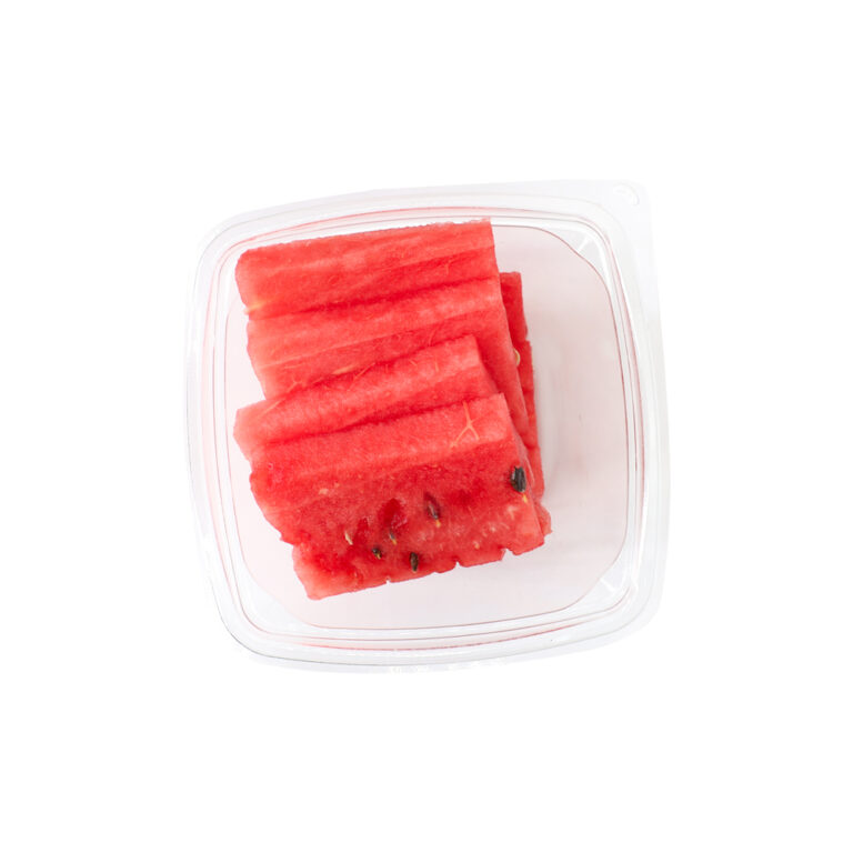 9229WatermelonSlice